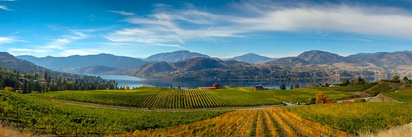 Autumn Over Blasted Church Vineyard