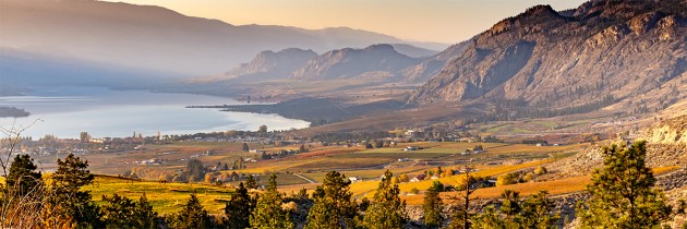 Autumn from Anarchist Mountain 4908