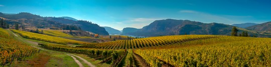 Autumn At Blue Mountain 5049 2496